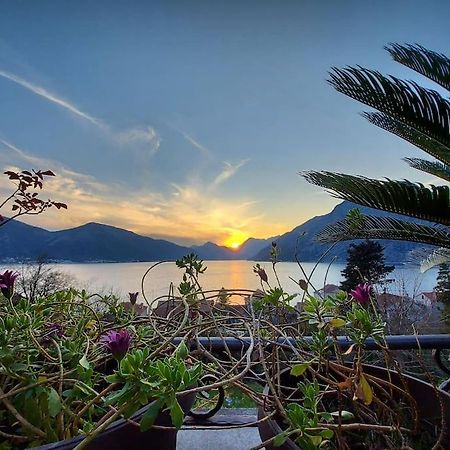 Apartment Terazza Di Ljuta Kotor Bagian luar foto