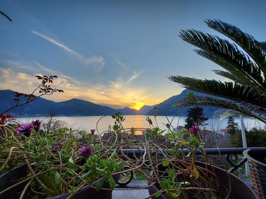 Apartment Terazza Di Ljuta Kotor Bagian luar foto