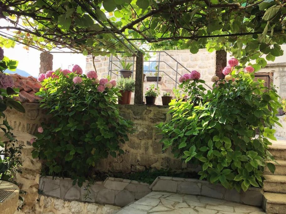 Apartment Terazza Di Ljuta Kotor Bagian luar foto