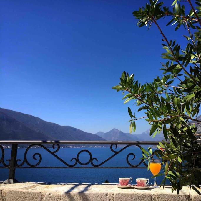 Apartment Terazza Di Ljuta Kotor Bagian luar foto