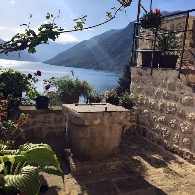 Apartment Terazza Di Ljuta Kotor Bagian luar foto