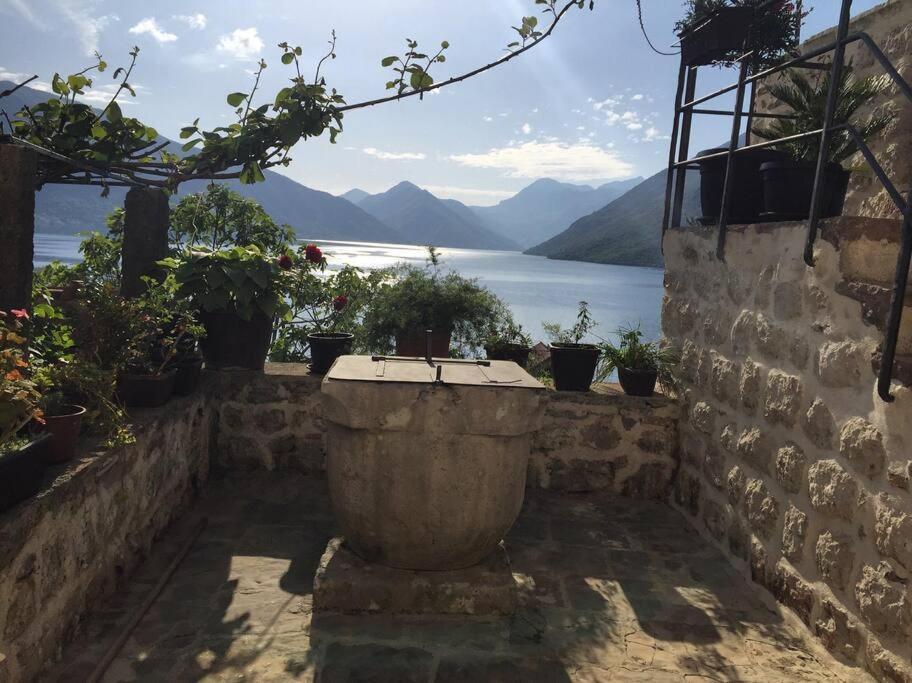 Apartment Terazza Di Ljuta Kotor Bagian luar foto