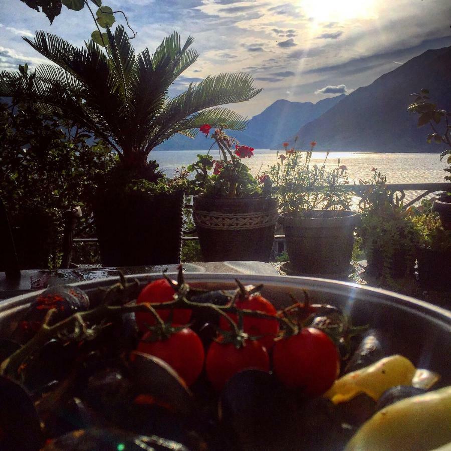Apartment Terazza Di Ljuta Kotor Bagian luar foto